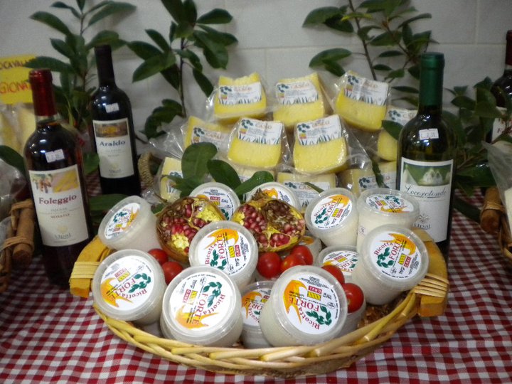 nostri-partner-nel-mondo-013